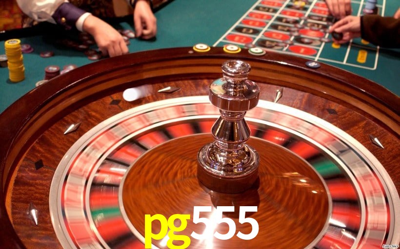 Interface Premium pg555